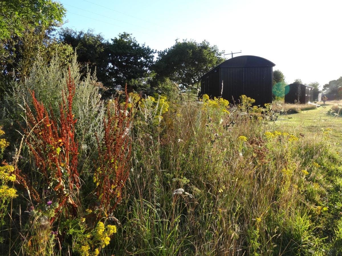 The Oaks Glamping - Pips Cabin Colkirk Extérieur photo