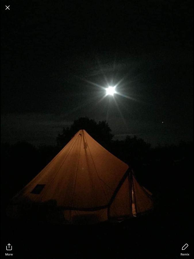 The Oaks Glamping - Pips Cabin Colkirk Extérieur photo